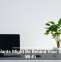 Houseplants Might Be Behind Your Sluggish Wi-Fi